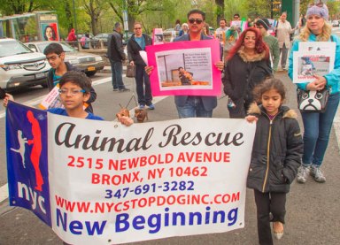 ‘Save Our Shelter’ March
