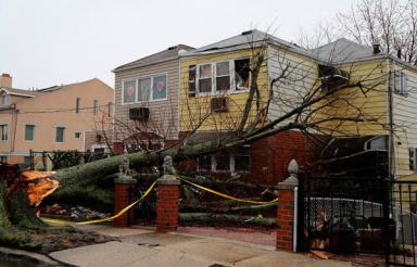 Nor’easter takes down 230-year-old Mighty Oak|Nor’easter takes down 230-year-old Mighty Oak|Nor’easter takes down 230-year-old Mighty Oak|Nor’easter takes down 230-year-old Mighty Oak|Nor’easter takes down 230-year-old Mighty Oak|Nor’easter takes down 230-year-old Mighty Oak|Nor’easter takes down 230-year-old Mighty Oak|Nor’easter takes down 230-year-old Mighty Oak|Nor’easter takes down 230-year-old Mighty Oak
