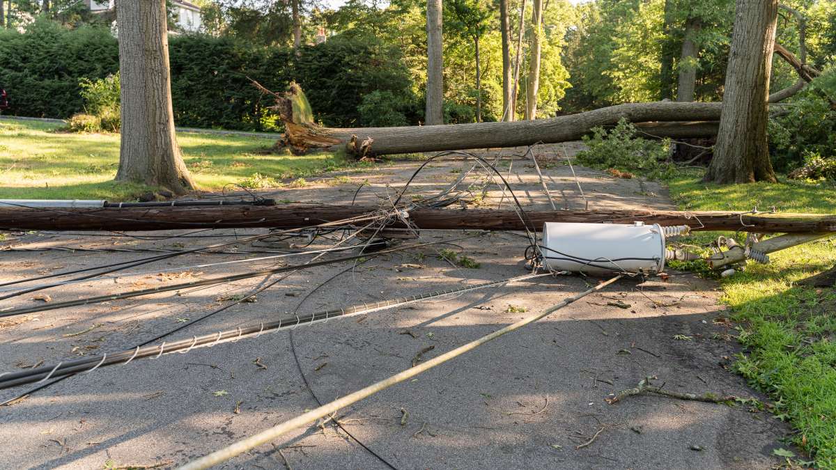 A tree has fallen because of the strong wind and it barricaded the street and destroyed power lines and internet and TV cables in a small town in New Jersey after a storm.