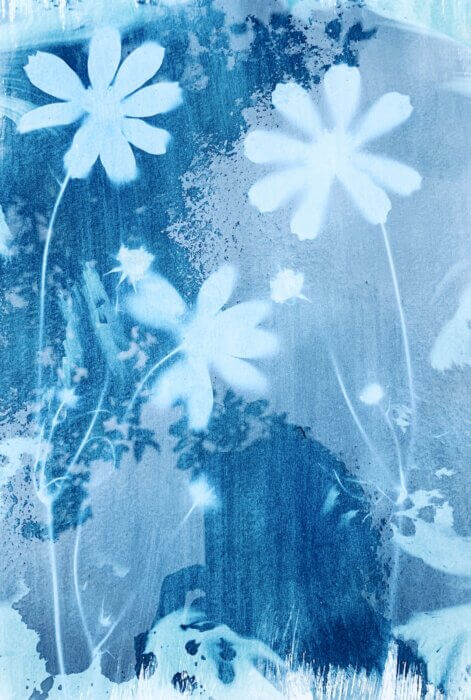 Picture of a cyanotype photograph of flowers.