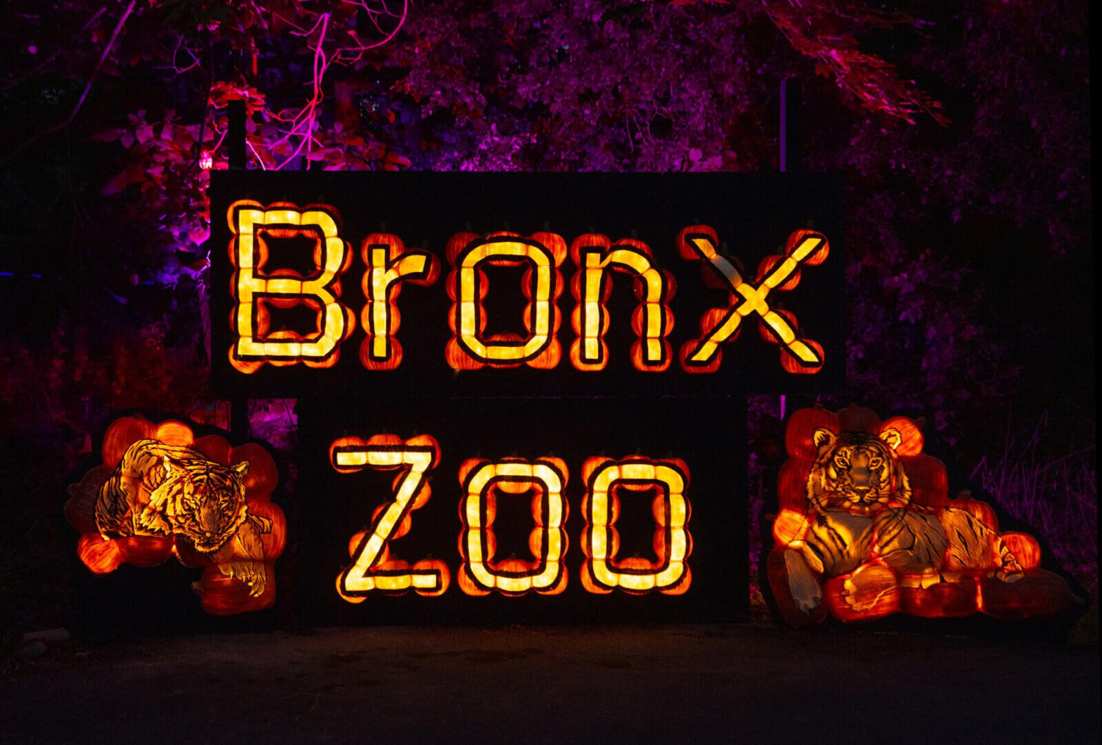 The Bronx Zoo announces a new event for Halloween season: Pumpkin ...